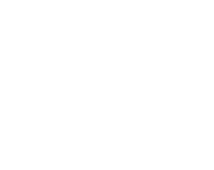 Sell-side diligence