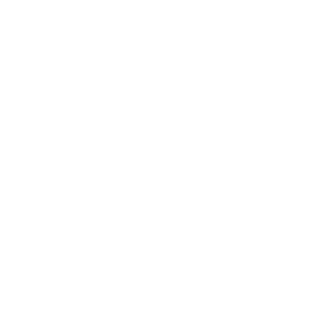 Web app API pen test