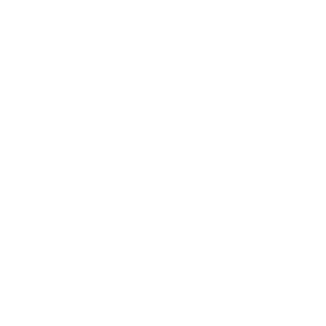 Web app API pen test