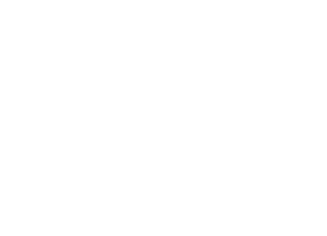 Interim Leadership CTO