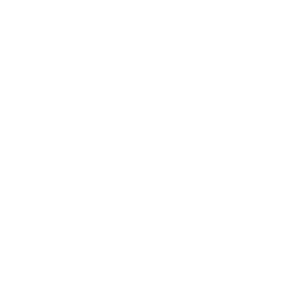 Interim Leadership Engineering