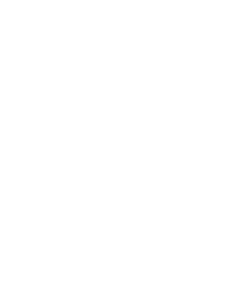 Credibility White