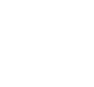 Action plan